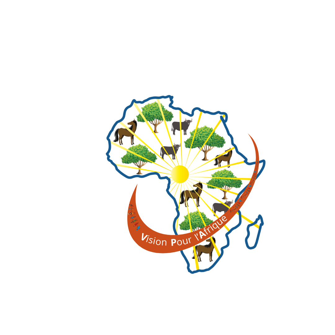 Vision pour l'Afrique