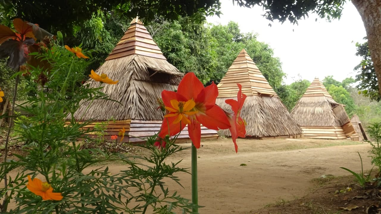 Traditional architecture